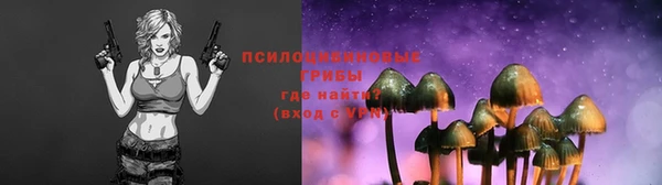 амф Алзамай