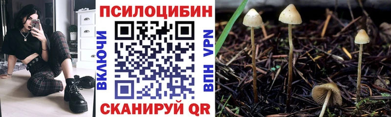 купить Архангельск Галлюциногенные грибы MAGIC MUSHROOMS